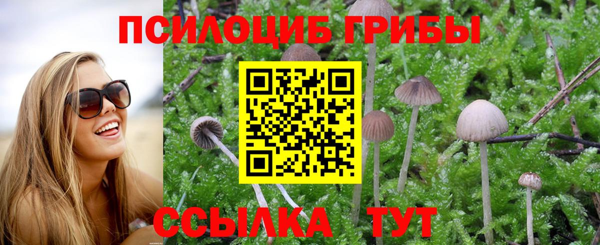 Галлюциногенные грибы мицелий  закладки  Анапа  Псилоцибиновые грибы Psilocybine cubensis  Вход с VPN 