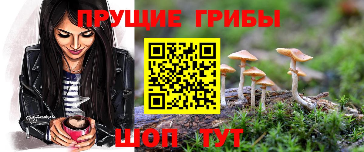 Галлюциногенные грибы GOLDEN TEACHER Анапа